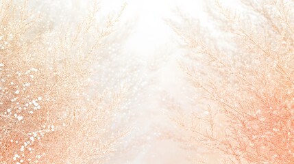 Fototapeta premium Winter Wonderland, Soft Peach Frost Branches Background
