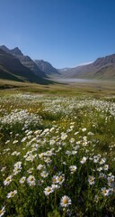 Wildflowers bloom in a valley, mountains rise behind