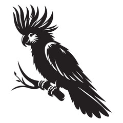 Sleek Cockatoo Silhouette – Cockatoo Vector Graphic Depicting Clear Wildlife Outline – Bird Silhouette – Black Vector of Cockatoo


