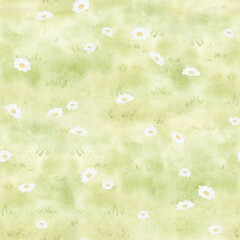 Green lawn with white wildflowers watercolor seamless pattern. Pastel green grass with blooming chamomile field flowers repeat background. Summer meadow blossom. Simple rural landscape backdrop