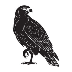 Graceful Hawk Silhouette – Hawk Vector Artwork Highlighting Sleek Predator Profile – Hawk Illustration – Bird Silhouette – Silhouette of Hawk

