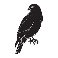 Refined Hawk Silhouette – Hawk Vector Art Showing Raptor Elegance – Hawk Illustration – Bird Silhouette – Silhouette of Hawk

