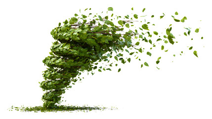 Fototapeta premium green tree on white background
