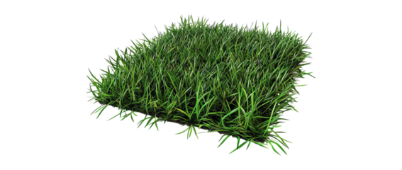 Lush Green Grass Texture for Natural Landscapes and Gardens