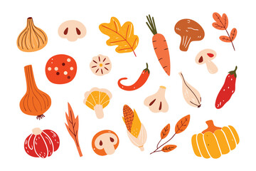 Autumn harvest: A colorful arrangement of various autumn harvest ingredients, depicting the season's bounty, ideal for culinary and seasonal designs. 