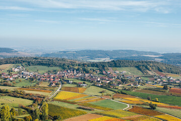 Paysage de vignes en Bourgogne. Vignoble de Beaune. Vins de la Côte d'Or. Panorama de viticulture...