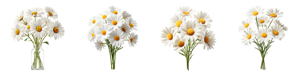 Obraz premium Daisy Flower Bouquets - White Bloom Arrangements
