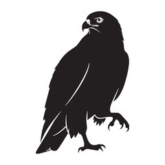Strong Beak Kite Silhouette – Kite Vector Graphic Highlighting Distinct Predator Look – Bird Silhouette – Black Vector of Kite


