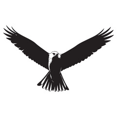 Obraz premium Defined Kite Silhouette – Kite Vector Graphic Featuring Crisp Raptor Contours – Bird Silhouette – Black Vector of Kite