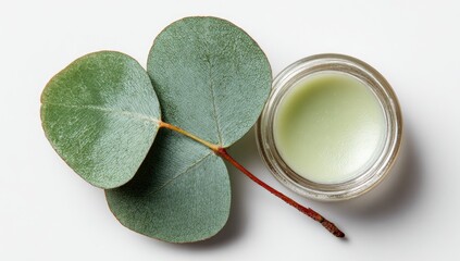 Light green lip balm beside eucalyptus leaves on white background