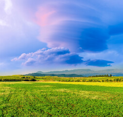 Scenic view at beautiful spring or summer sunset in a shiny meadow with golden grass and sun rays, deep beautiful cloudy sky and road, valley landscape