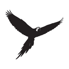 Distinct Tropical Macaw Silhouette – Macaw Vector Graphic Showing Refined Bird Profile – Bird Silhouette – Black Vector of Macaw

