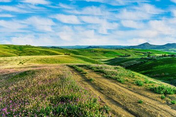 green flowering spring hills in rustic valley with rural road among blossoming grasslands leadung far away to a sunset cloudy sky above horizon