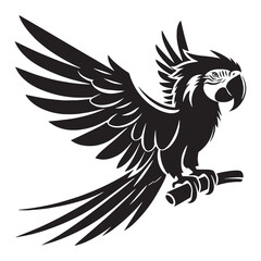 Sleek Macaw Silhouette – Macaw Vector Graphic Depicting Clear Tropical Outline – Bird Silhouette – Black Vector of Macaw

