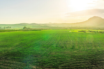 green flowering spring hills in rustic valley with rural road among blossoming grasslands leadung far away to a sunset cloudy sky above horizon