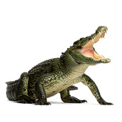 Naklejka premium A large reptile with its jaws open, showcasing its teeth and textured skin against a plain white backdrop