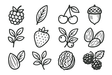 Hand-drawn fruit and nut icons: strawberry, cherry, almond, raspberry, walnut, acorn