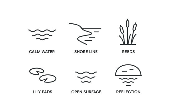 simple outline stroke icon items freshwater lake (features): calm water shore line reeds lily pads open surface reflection monoline icons style isolated on white background