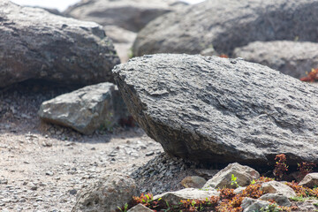 A large rock sits on a rocky surface