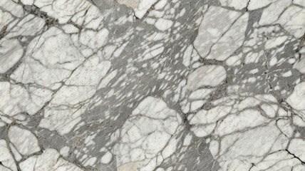 Fototapeta premium High-Resolution White and Grey Marble Texture for a Luxury Background