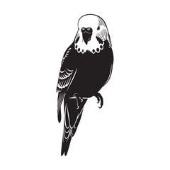 Fototapeta premium Artistic Parakeet Silhouette – Parakeet Vector Art Showing Defined Long-Tail Feature – Parakeet Illustration – Bird Silhouette – Silhouette of Parakeet