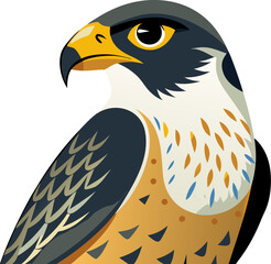 Falcon on a white background