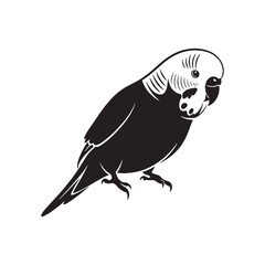 Elegant Parakeet Silhouette – Parakeet Vector Artwork Highlighting Long-Tailed Profile – Parakeet Illustration – Bird Silhouette – Silhouette of Parakeet


