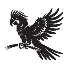 Sleek Parrot Silhouette – Parrot Vector Graphic Depicting Clear Tropical Outline – Bird Silhouette – Black Vector of Parrot

