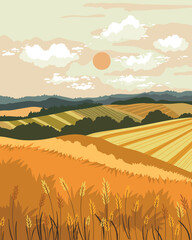 landscape field with wheat beautiful scenery with trees and plants and sunsetю . Vector illustration. © Юлия Ткачук