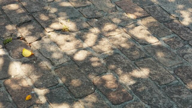 Stone tile floor. Sunlight passes through the leaves of a tree forming shadows that dance on a cobblestone floor