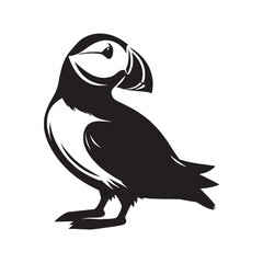 Fototapeta premium Elegant Puffin Silhouette – Puffin Vector Graphic Showing Compact Bird Form – Bird Silhouette – Black Vector of Puffin
