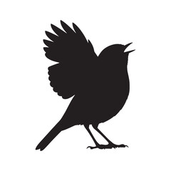 Fototapeta premium Lovely Robin Silhouette – Robin Vector Graphic Featuring Distinctive Chest Shape – Bird Silhouette – Black Vector of Robin