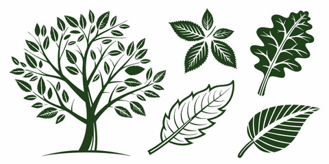 Bio and organic themed leaf vectors – clean and clear.