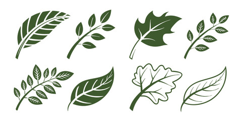 Nature-based flat icons – collection of green leaves.