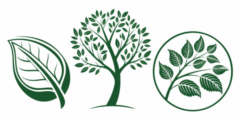Simple plant leaf vector collection – eco concept.