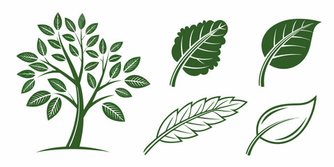 Variety of green plant leaves – ideal for eco-labels and nature graphics.