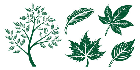 Flat green leaves from various plants – natural vector elements.