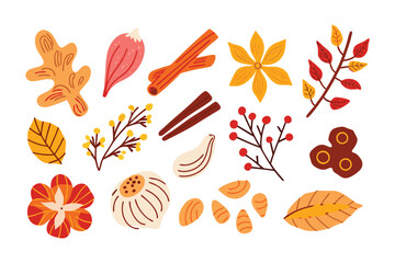 Aromatic Spice Assortment: A vibrant arrangement of culinary spices, presented in a clean, eye-catching style, perfect for food blogs, culinary projects, and autumn-themed designs.