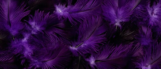 Deep Purple Feathers Background Texture Close Up
