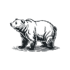 Bear standing in a natural pose in a forest setting