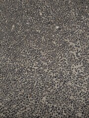 Close-up of exposed aggregate concrete with dark pebbles on a gray base.