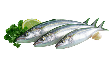 Fresh Fish with Garnish on Green Background
