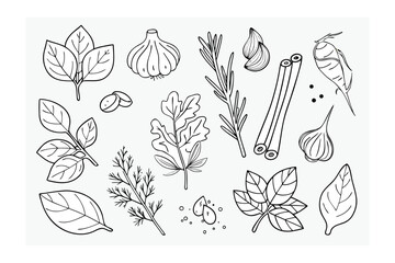 Herb and Spice Collection: An exquisite arrangement of freshly sourced herbs and aromatic spices. Each element is beautifully presented in a simple, clean, and attractive style.