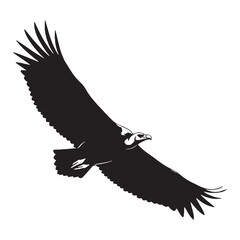 Printable Vulture Silhouette – Vulture Vector Professional Asset for Designers – Vulture Illustration – Bird Silhouette – Silhouette of Vulture


