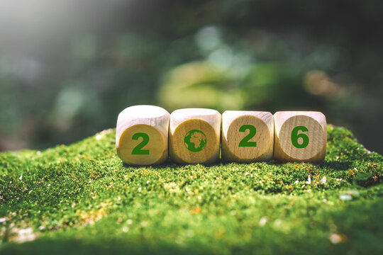 Sustainable development goalStart a new year 2026 to achieve business goals environment (SDGs) Ideas for wood cube block on a green forest nature SDGs, ESG, NetZero, and co2 concept