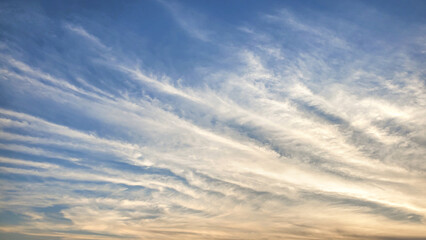 landscape with trees and clouds wallpaper