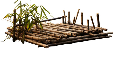 Asian bamboo raft featuring fresh green sprouts artistic style on transparent background