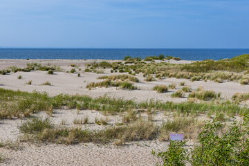 View on Mewia Lacha nature and bird reserve on Sobieszewo Island on the Baltic Sea, part of Gdansk...