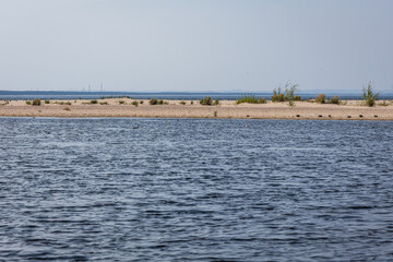 Ducks in nature reserve for birds called Mewia Lacha on Sobieszewo Island, Gdansk Bay in the Baltic...