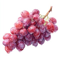 Fototapeta premium Watercolor illustration of a bunch of red grapes